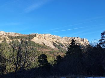 Tocht Stappen Le Castellard-Mélan - Autour de Fontbelle 18/12/2024 - Photo