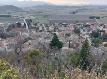 Tour Wandern Puy-Saint-Martin - Puy St Martin Chevriere-Saudon 16 km - Photo