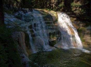 Percorso A piedi Rokytnice nad Jizerou - NS Živá mrtvá Mumlava - Photo