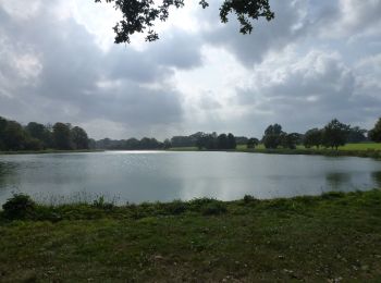 Tocht Te voet Broadland - Blickling Estate Green Route - Photo