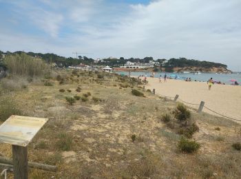 Trail Walking Sant Feliu de Guíxols - Sagaro, Espagne Sa Conva - Photo