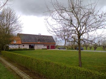 Trail On foot Poperinge - Dode IJzer wandelroute - Photo