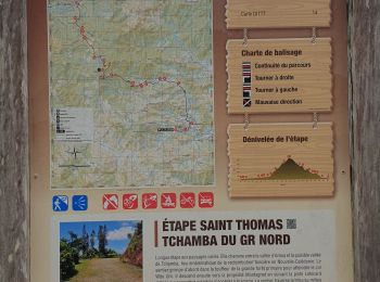 Randonnée Marche Poindimié - GR Nord - St Thomas au portail Totem (Nouvelle Calédonie) - Photo