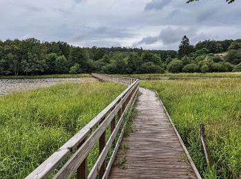 Trail Walking Saint-Agnan - tour de st agnan - Photo