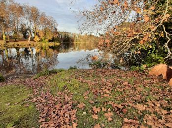 Tour Wandern Pontenx-les-Forges - Pontenx-les-Forges - Photo