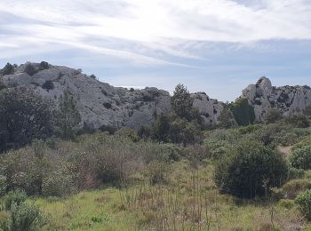 Excursión Senderismo Mouriès - mouries - Photo