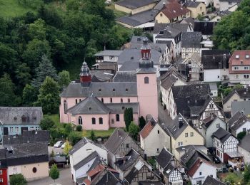 Trail On foot Oberheimbach - Oberheimbach Panoramaweg - Photo