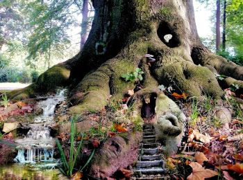 Percorso A piedi Leichlingen - Leichlingen Stadtpark Rundweg A1 - Photo