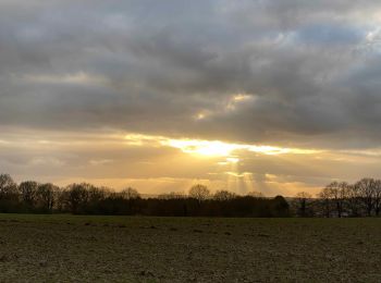 Tocht Stappen Bertem - Bertem - Eikenbos - Bertembos - Photo