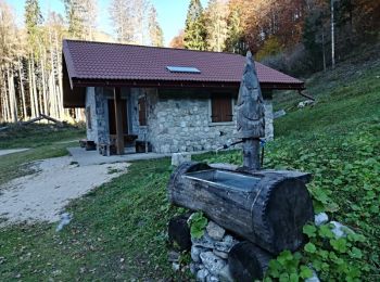 Trail On foot Gemona del Friuli - IT-708 - Photo