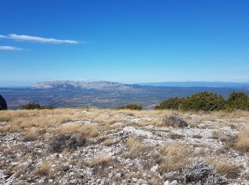 Tocht Stappen Pourcieux - Pourcieux - Mont Aurélien  - Photo