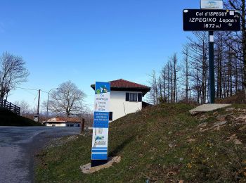 Percorso A piedi Saint-Étienne-de-Baïgorry - SL-NA Elorrieta - Photo