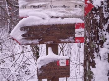 Percorso A piedi Sesto Fiorentino - Sentiero CAI 7B - Sez. Sesto Fiorentino - Photo