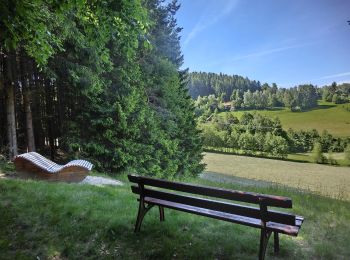 Trail On foot Warmensteinach - Warmensteinach Rundwanderweg 