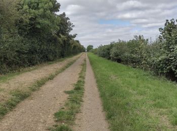 Tocht Te voet Cherwell - Deddington Circular Walk - East - Photo