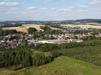 Excursión A pie Detmold - Gustav-Mesch-Weg - Photo