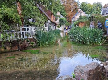 Randonnée Marche Sotteville-sur-Mer - Veules les roses du 25/092022 - Photo