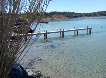 Tocht Stappen Saint-Tropez - St Tropez_ Le sentier littoral - Photo