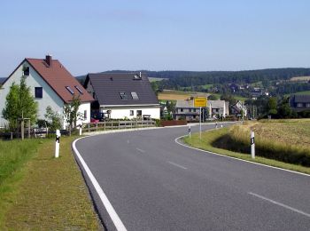 Percorso A piedi Auerbach - Rundweg um Auerbach - Photo