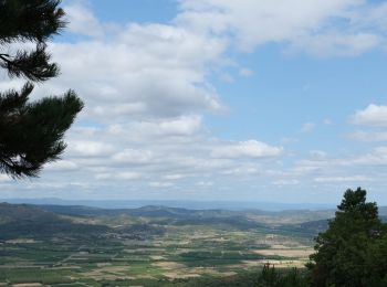 Tocht Stappen Labastide-en-Val - Le chemin des panoramas à Labastide-en-Val (variante) - Photo