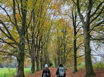 Tocht Stappen Eijsden-Margraten - Gulpen - Hubertusmarkt - Photo