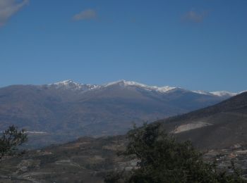 Randonnée Marche Motril - Cerro Gordo Motril  - Photo