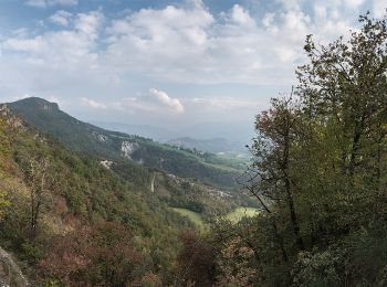 Tour Zu Fuß Carpineti - Valestra - Monte Valestra - Passo della Regina - Castello delle Carpinete - Photo