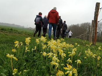 Tocht Stappen Viffort - Viffort du 05-04-2022 - Photo