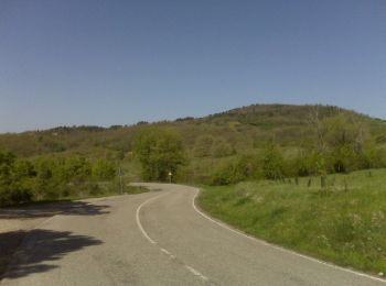 Percorso A piedi Passignano sul Trasimeno - Borgo Torale-Vernazzano-Cima Tuoro-Pischiello - Photo