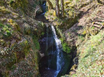 Trail Walking Vieux-Thann - Rando Marcheurs..27/03/2025.. - Photo