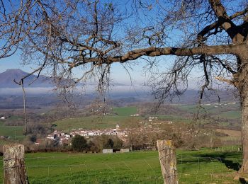 Tour Wandern Ainhoa - Ainhoa. Col de 3 croix - Photo