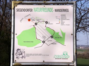 Tocht Te voet Siegendorf/Cindrof - Puszta-Tour (Vital-Parcours Siegendorf) - Photo