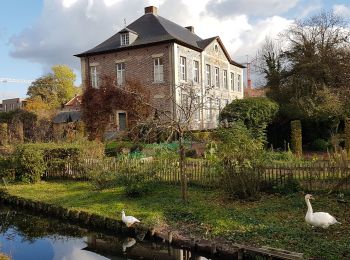 Tocht Stappen Zutendaal - Zutendaal - Photo