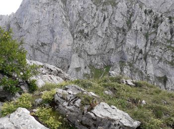 Randonnée Marche La Chapelle-d'Abondance - pas de la bosse - Photo