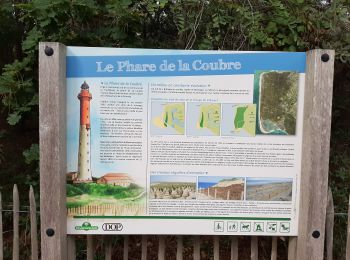 Excursión Senderismo La Tremblade - phare de la courbe  - Photo