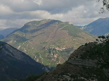 Tocht Stappen Marie - marie col de serena par la piste et retour sentier - Photo