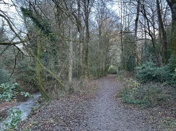 Randonnée Marche Méounes-lès-Montrieux - MONTRIEUX LE GAPEAU - Photo