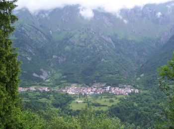 Percorso A piedi Lozio - Sentiero della ciaspolata - Photo