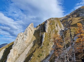 Excursión Senderismo Saint-Baudille-et-Pipet - Des Lames d'Arçon au Col de l'Aiguille - Photo