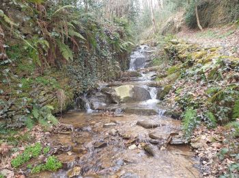 Trail Walking Coupiac - coupiac in live - Photo