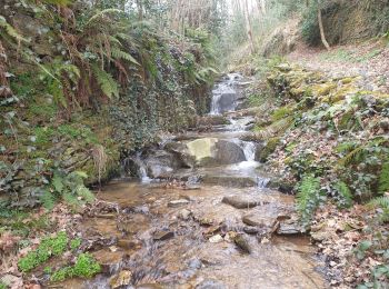 Tocht Stappen Coupiac - coupiac in live - Photo