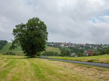 Percorso A piedi Zettlitz - Rundweg Zettlitz – Auenbachtal – Zettlitz - Photo