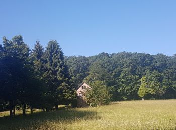 Tocht Stappen Wasselonne - Geisweg - Elmerforst -Westhoffen - Photo