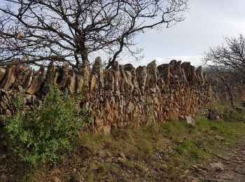 Excursión Senderismo Saint-Jean-de-la-Blaquière - Saint Jean de la Blaquière 26 Février 2020 - Photo