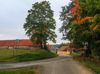 Percorso A piedi Sedlice - [Ž] Láz - Milavy - sedlická obora - Photo