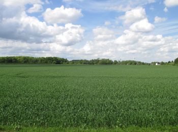 Randonnée A pied Neukirchen-Vluyn - Littard Rundweg A4 - Photo