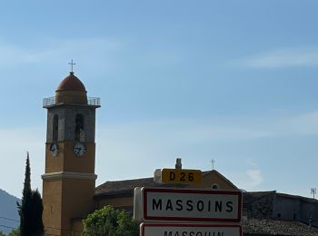 Tocht Stappen Massoins - Pointe des 4 cantons - Photo