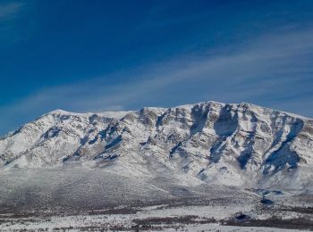 Percorso A piedi  - planinarska staza Mirkovići - Brezovac - Photo