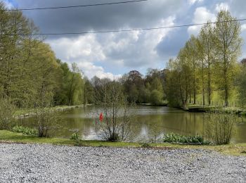 Excursión Senderismo Villers-la-Ville - BE-Villers-la-Ville - Le Bois Pigeolet et le Châtelet - VLV 7  - Photo