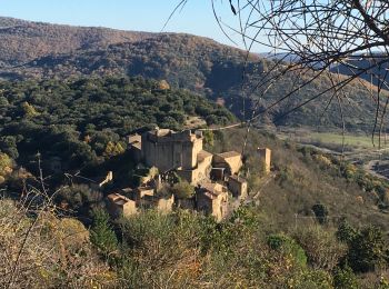 Excursión Senderismo Dio-et-Valquières - Valquières - Plo du Laurier - Photo